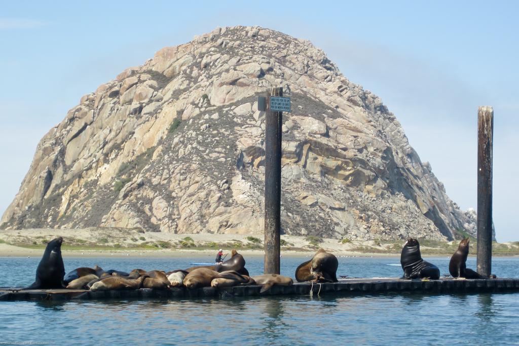 Morro Crest Inn Morro Bay Ngoại thất bức ảnh