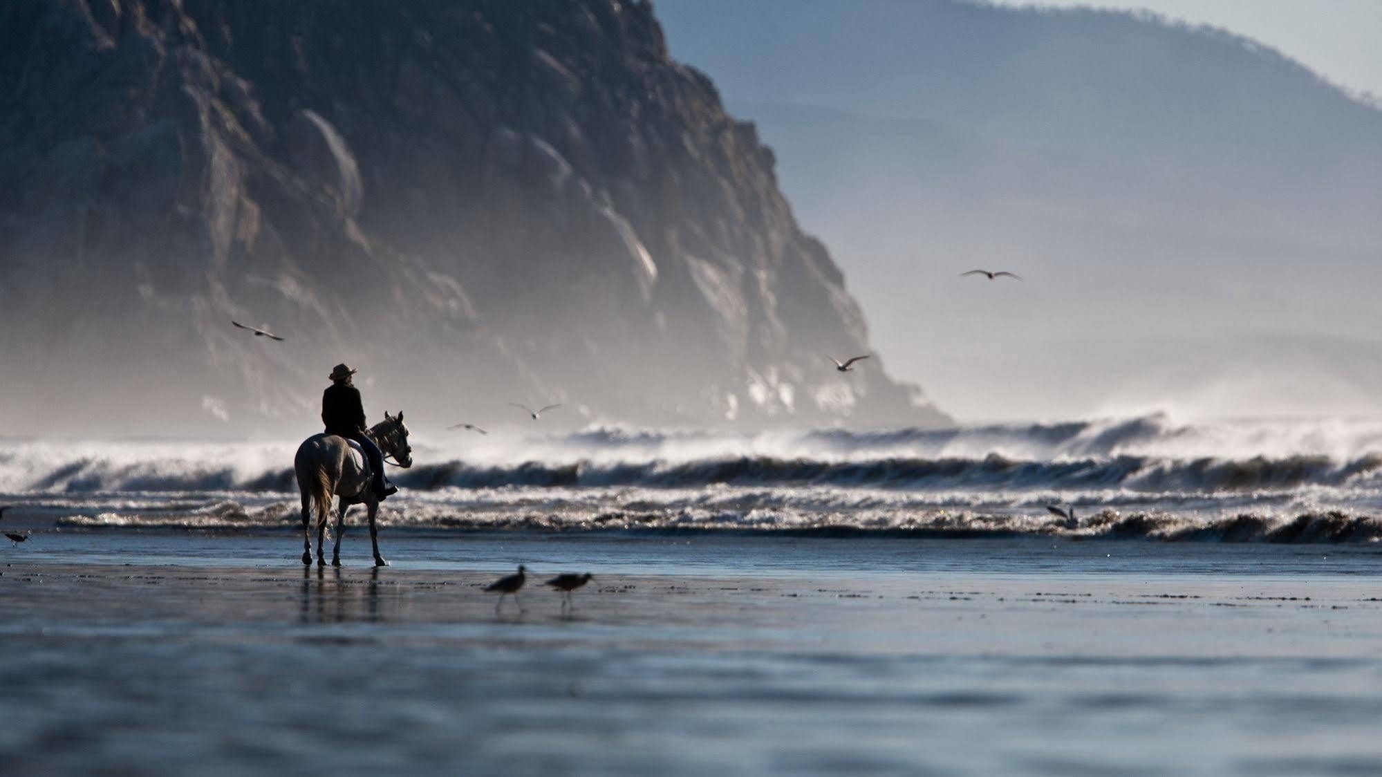 Morro Crest Inn Morro Bay Ngoại thất bức ảnh